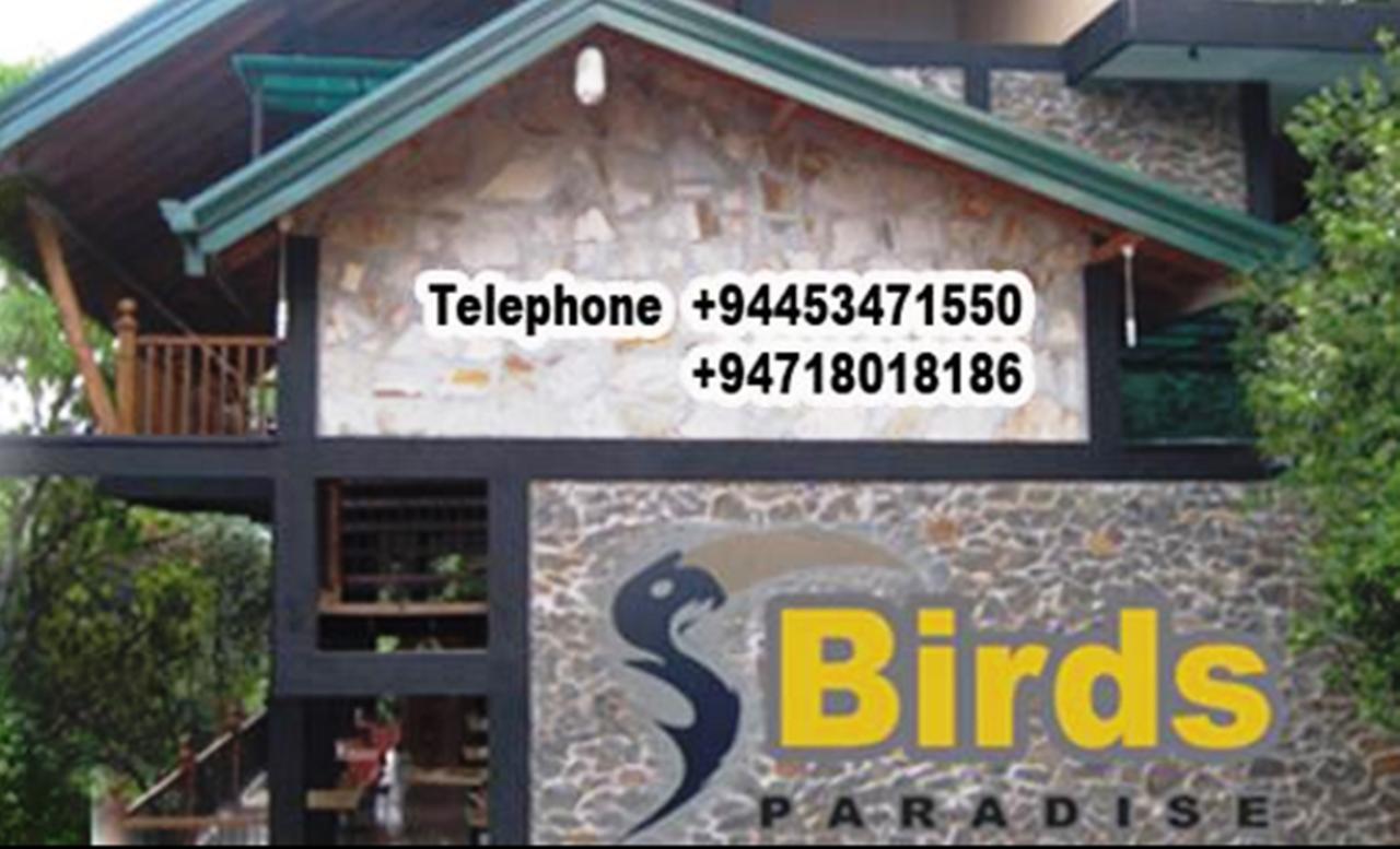 Birds Paradise Hotel Kudawe Экстерьер фото