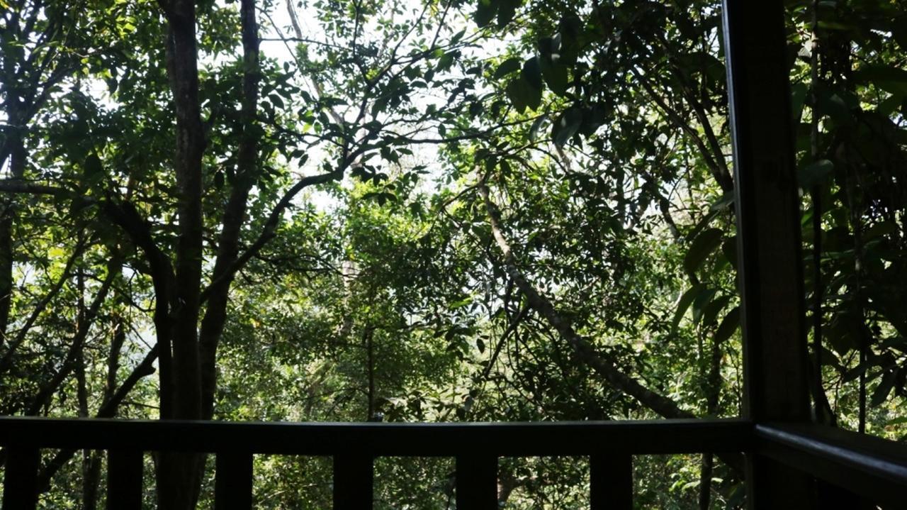 Birds Paradise Hotel Kudawe Экстерьер фото
